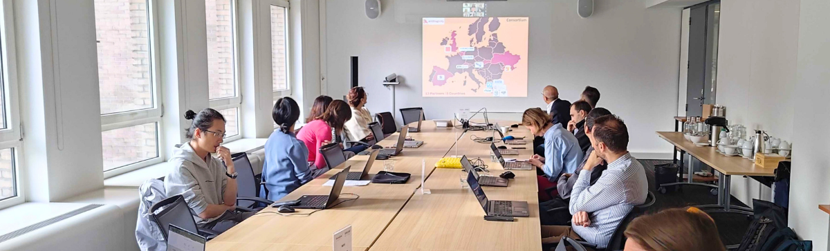 AntifragiCity’s first review meeting